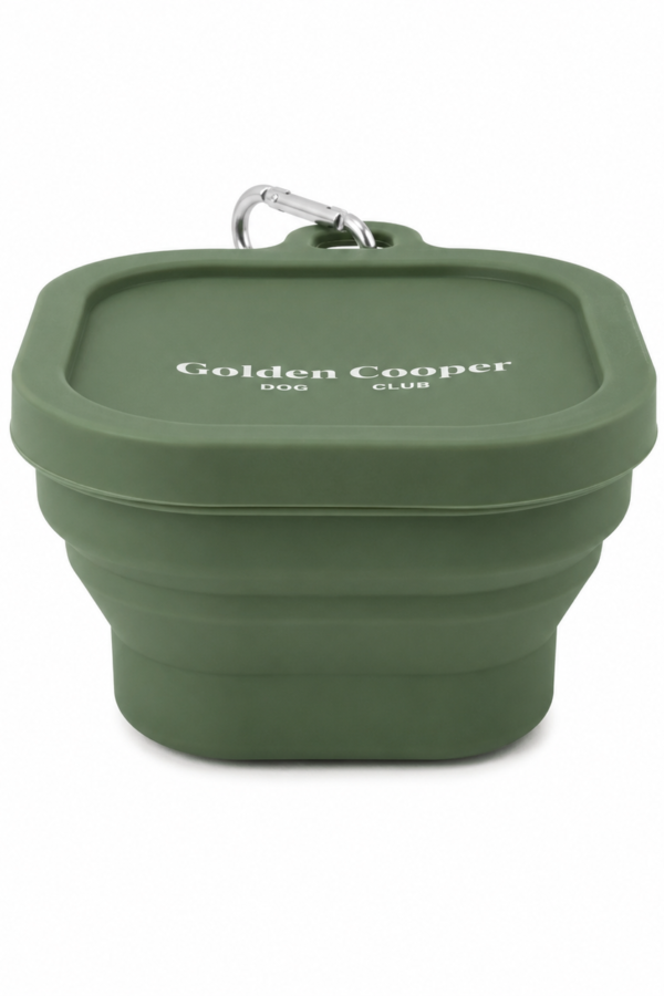Cuenco plegable de silicona verde para perro, desplegado, con mosquetón